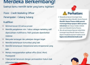 Lowongan Kerja Credit Marketing Officer Mandiri Utama Finance Cabang Subang