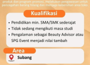 Lowongan Kerja DAN+DAN Fun Healthy Beauty Peluang Karir Menarik sebagai Crew Store di Subang