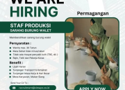 Lowongan Kerja Staf Produksi Sarang Burung Walet (Permagangan) di PT Vimayo Indonesia Persada, Purwakarta