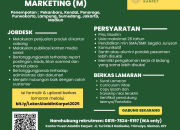 Lowongan Kerja Marketing (M) Aladdin Karpet (Penempatan Seluruh Indonesia)
