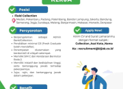 Loker Field Collection Binajasa Abadikarya 2025: Gaji Pokok & BPJS di Seluruh Indonesia