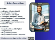 Loker Sales Executive Rejeki Toyota Terbaru 2025: Gaji Min UMK, Insentif Tak Terbatas, dan Jenjang Karir Jelas!