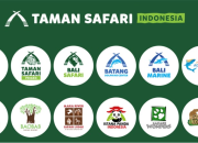 Loker Management Trainee (R.O.A.R. Leaders) Taman Safari Indonesia Group 2025: Kesempatan Karir di Bidang Wisata & Konservasi