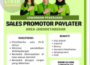 Karir Penjualan Dinamis! Lowongan Kerja Sales Promotor Paylater Indodana di Area Jabodetabekkar Terbaru 2025