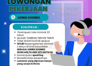 Lowongan Kerja Admin Sosmed di Larinka Esthetic Centre – Terbaru 2026