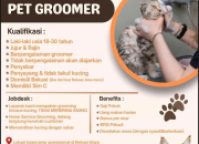 Lowongan Kerja Pet Groomer di Grooming Station Terbaru 2026