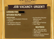 Lowongan Kerja Urgent di Schnitzla 2026: Kitchen Helper & Waitress