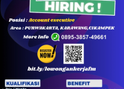 Lowongan Kerja Account Executive PT Cahaya Bumi Nasional (XL SATU) di Purwakarta, Karawang, & Cikampek