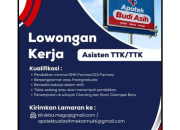 Lowongan Kerja Asisten TTK & TTK di Apotek Budi Asih Maret 2026