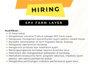 Lowongan Kerja Wiratama Anugerah Sentosa Subang 2026: SPV Farm Layer