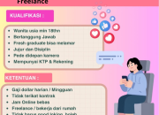 Lowongan Kerja LY Official Management 2026 – Dibutuhkan Host Live Freelance untuk Fresh Graduate Dipersilahkan