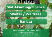 Lowongan Kerja Barista, Waiter, dan Staf Akunting di Jardin untuk 3 Posisi Strategis Terbaru 2026