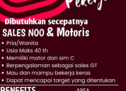 Lowongan Kerja Halochoko Subang: Posisi Sales NOO & Motoris (Dibutuhkan Secepatnya) 2026