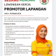 Lowongan Kerja Promotor Lapangan Sohun Kembang Matahari Area Purwakarta