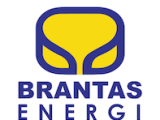 Lowongan Kerja BUMN di PT Brantas Energi, Simak Formasi yang Dibuka dan Persyaratannya