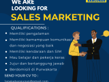 Sales-Marketing-1
